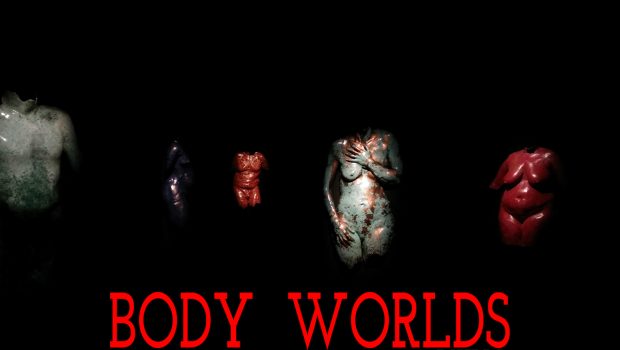 BODY WORLDS in Calgary: Vital, at Telus Spark