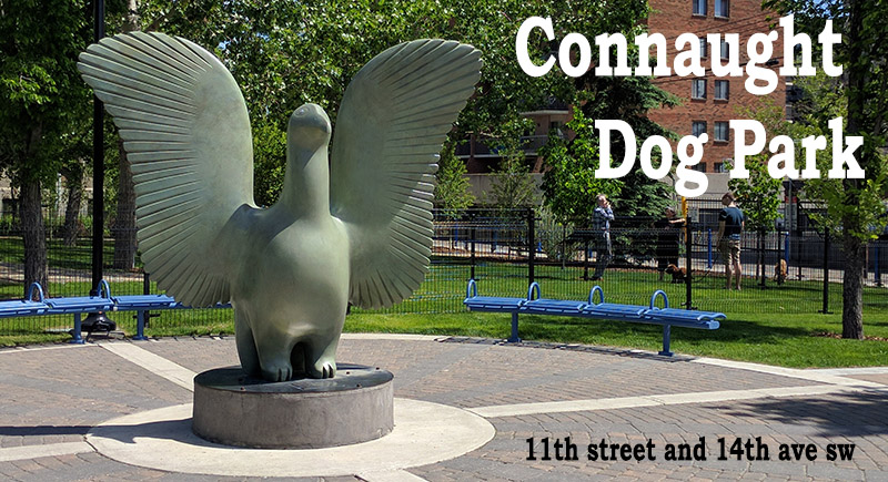 Connaught Dog Park