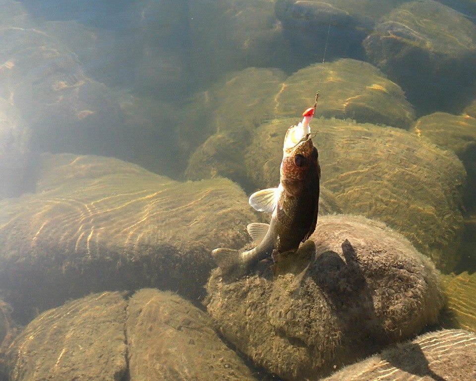 Fishing Around Calgary, Pine Coulee Reservoir