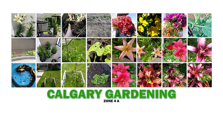 Calgary Groups Calgary Gardening