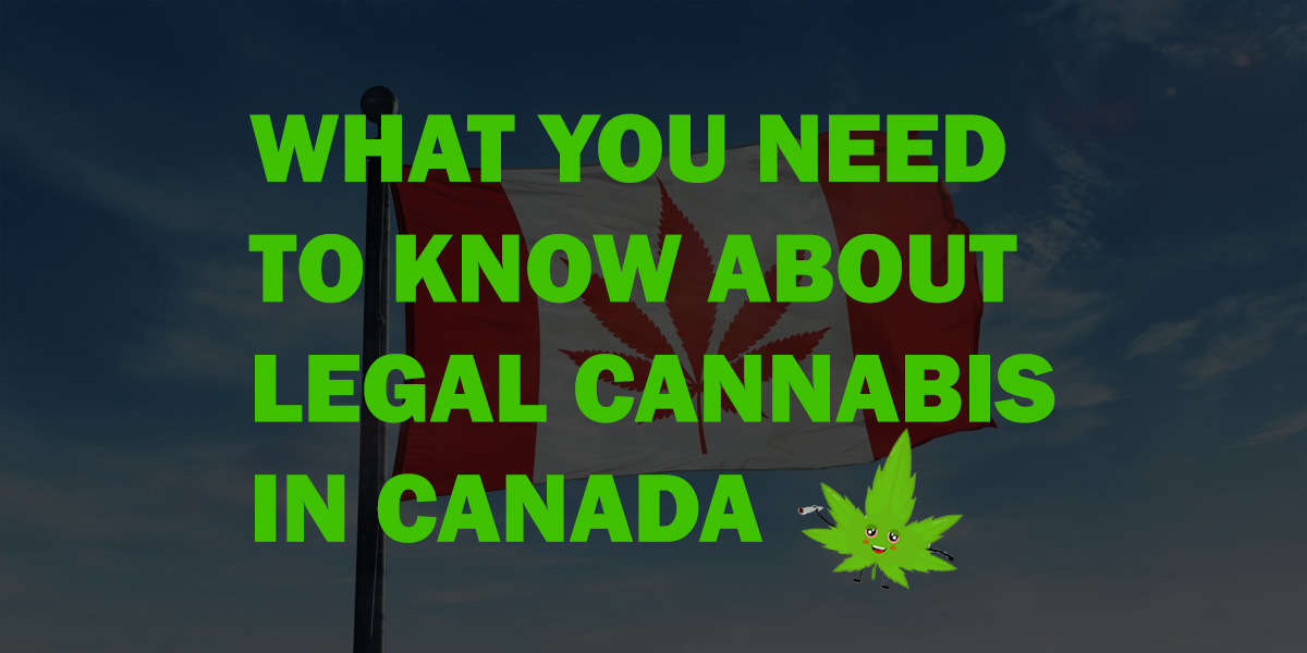 what you need to know about legal cannabis in Canada