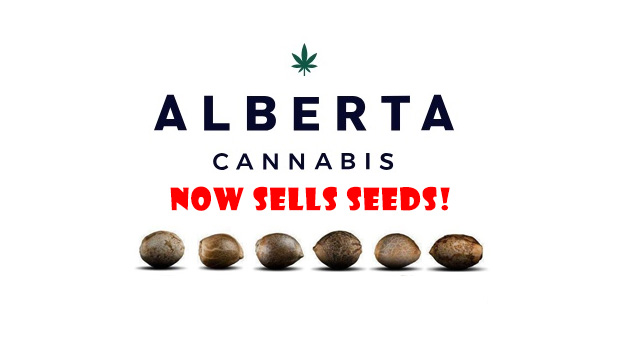 Alberta Cannabis Seeds