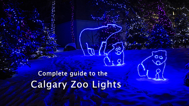 Calgary Zoo Lights