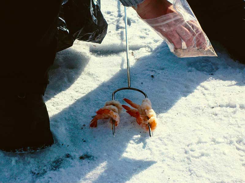 Ice Fishing food snacks Shrimp with seasoning