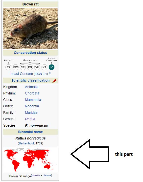 City of the Rats - Wikipedia