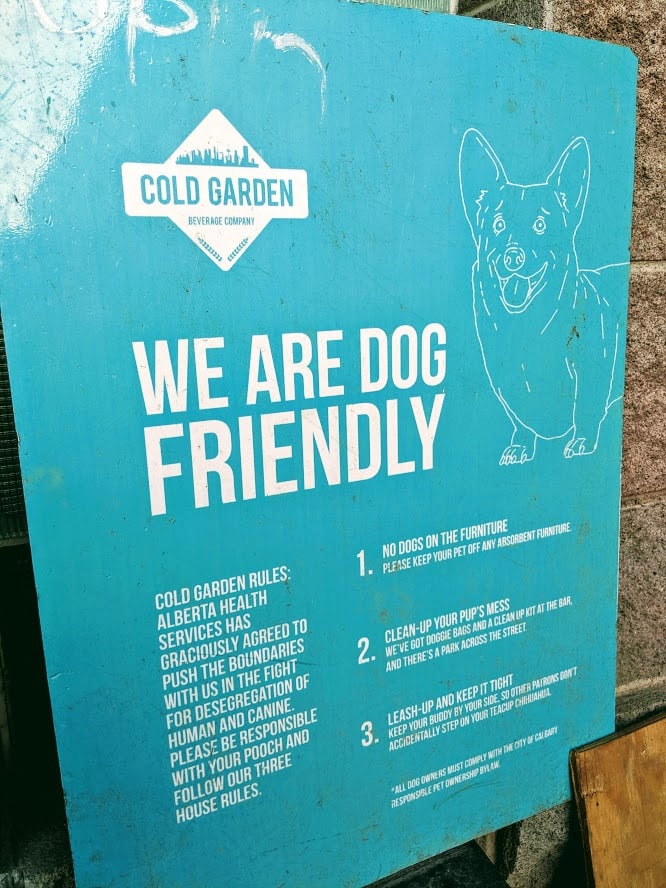 Dog Friendly Patios in Calgary