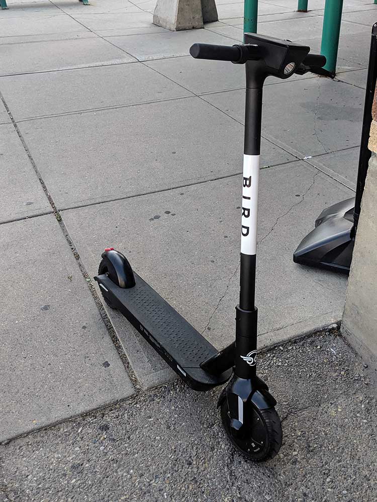 Complete Guide To Lime and Bird Electric Scooters in Calgary