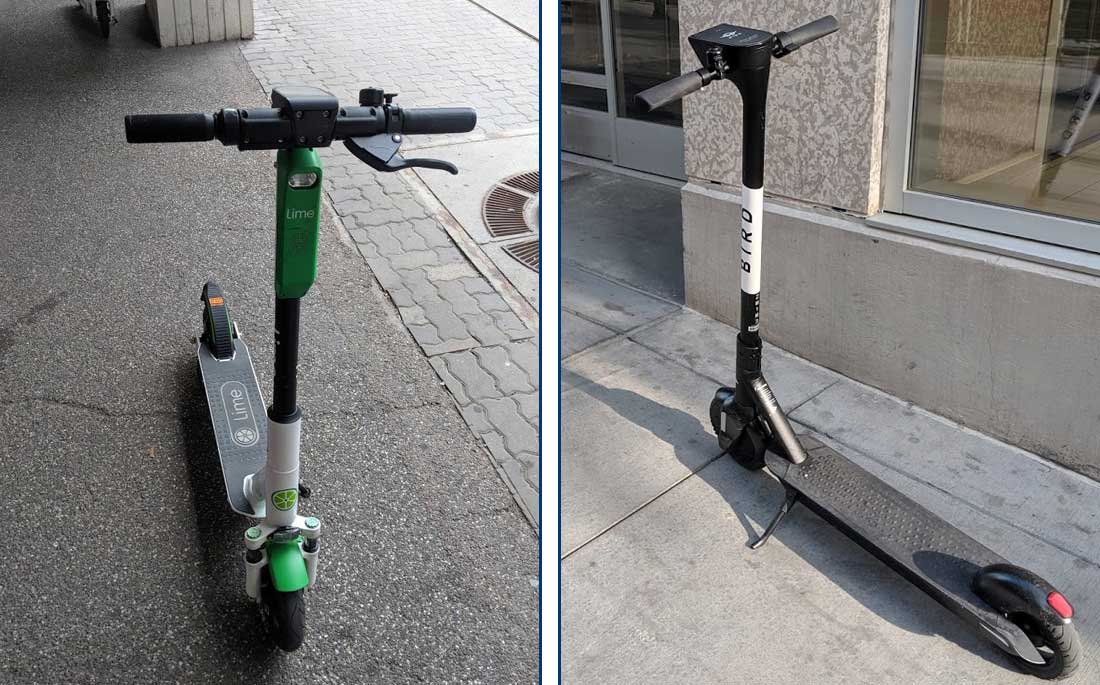 Complete Guide To Lime and Bird Electric Scooters in Calgary