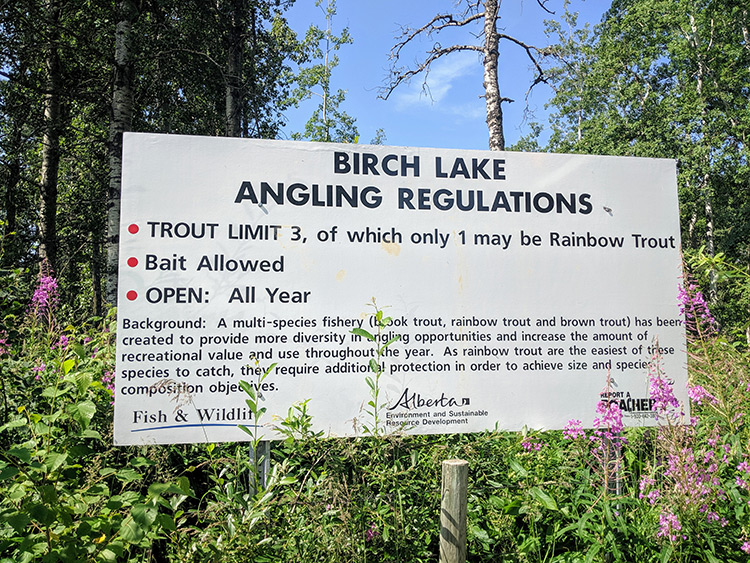 Camping Birch Lake Fishing Regulations