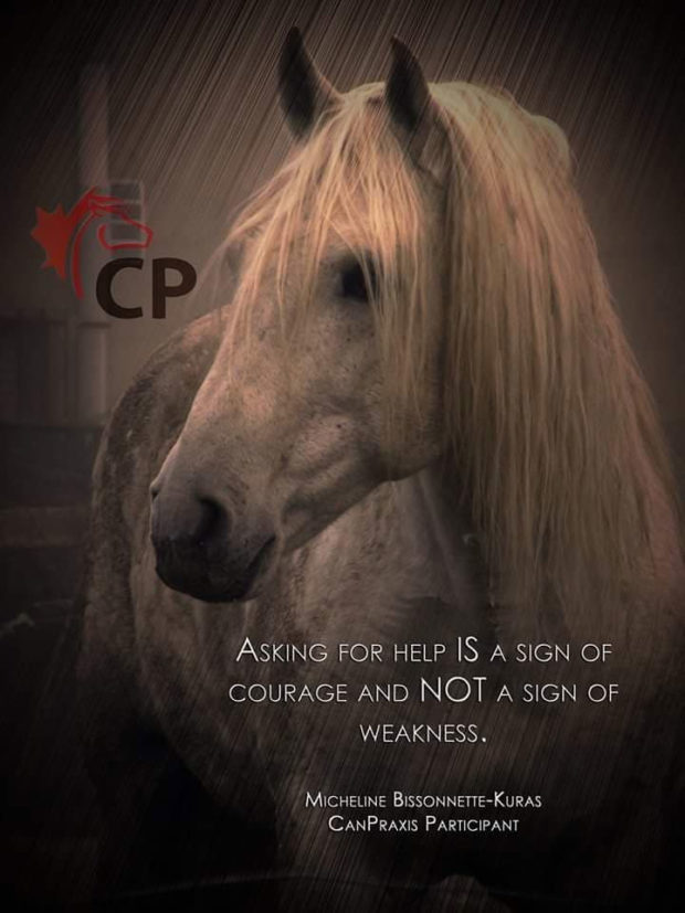 Can Praxis Veterans • PTSD • Horses crackmacs.ca