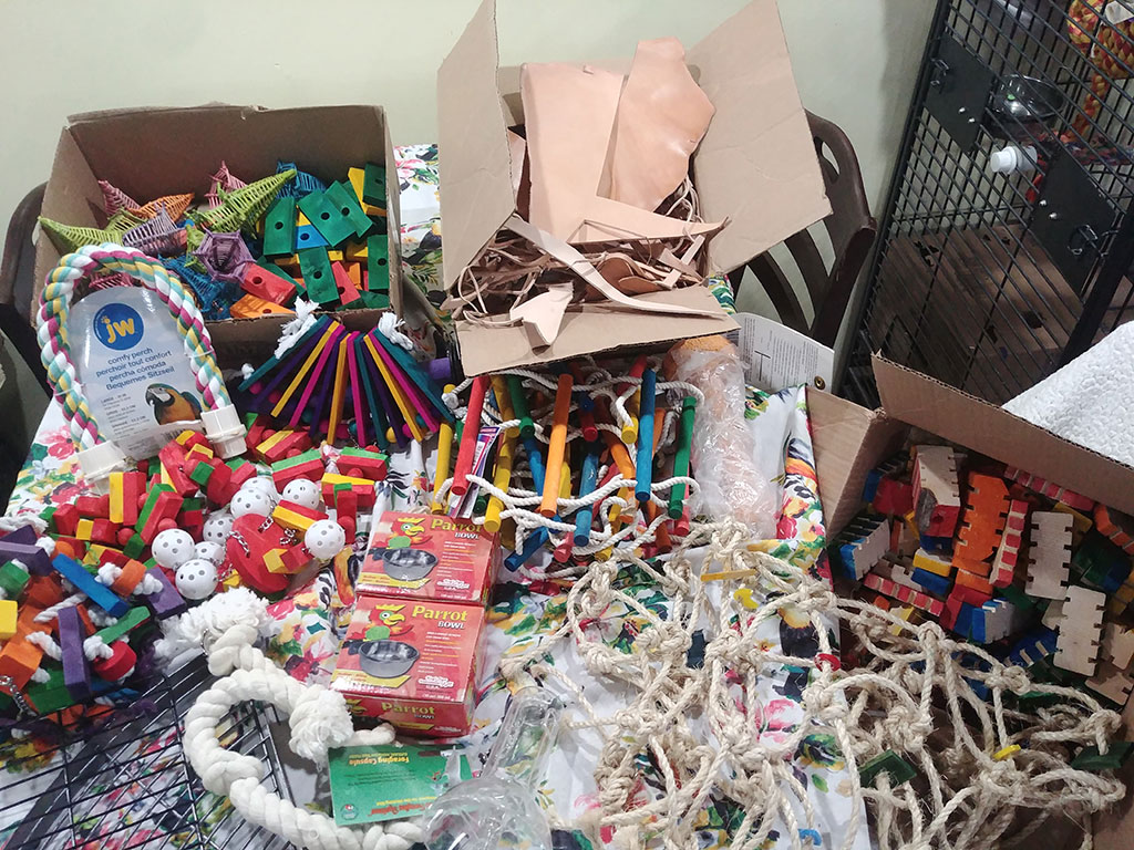 Birdline Canada Parrot Rescue donated bird toys and supplies