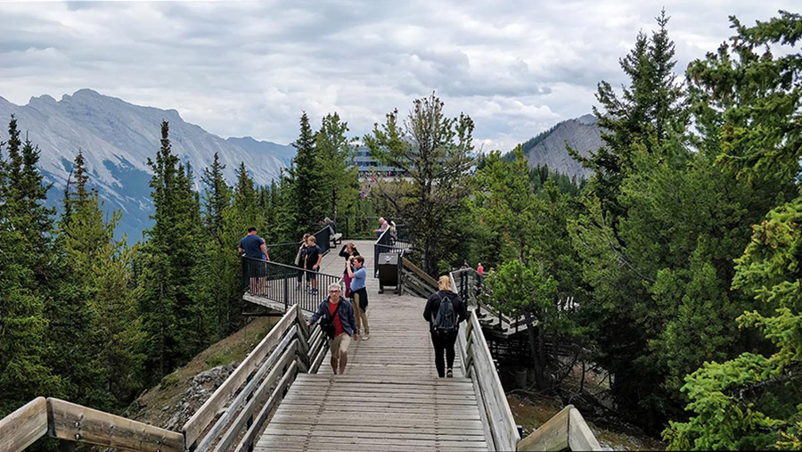 Guide To The Banff Gondola skywalk boardwalk in the summer time 2018